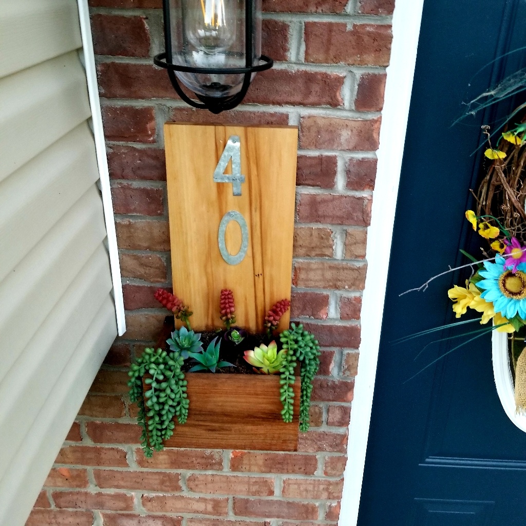 Custom Succulent Boxes